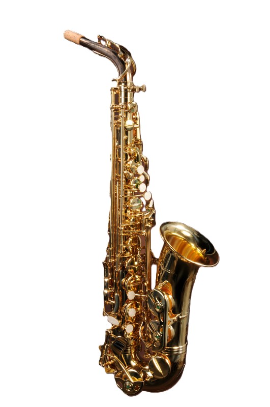 Sequoia Alt-Saxophon lackiert - Goldlack*