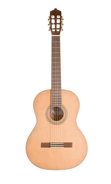 La Mancha Rubi S-C incl. Tonabnehmer