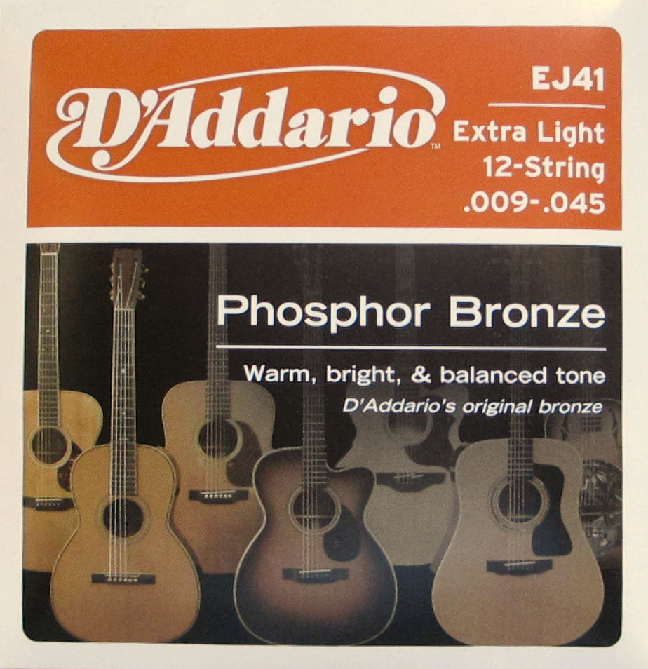 D'Addario Saiten Westerngitarre EJ41 12-String 009-045