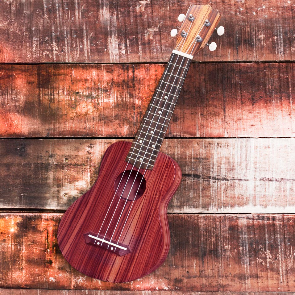 Ukulelenworkshop 15.11.2025 von 10.00-12.00 Uhr Anfänger*